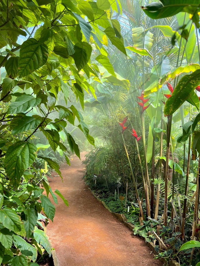 Conservatory and Botanical Garden in Geneva