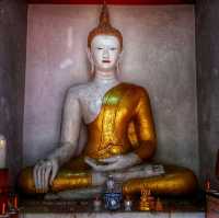 วัดพระธาตุช้างค้ำวรวิหาร สักการะพระเจ้าหลวง