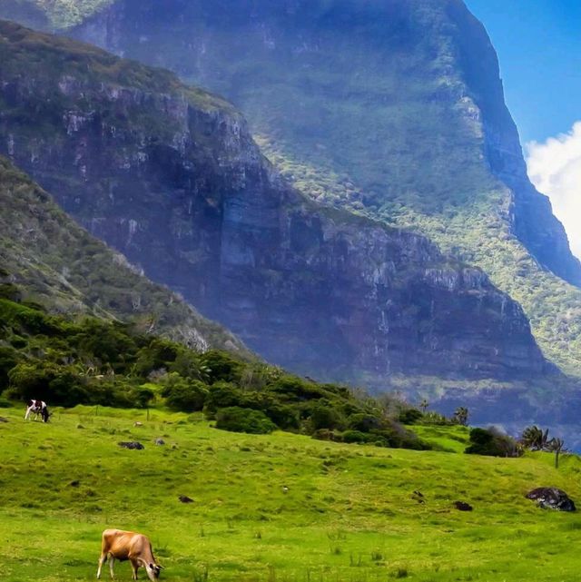 🌴 Discover the Serenity of Lord Howe Island