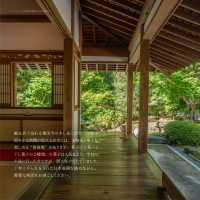 観光客の少ない鎌倉の穴場「浄妙寺」🍃
