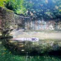 Singapore zoo