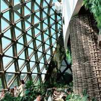 Exquisite Breakfast at Greenhouse, Dusit Thani Singapore