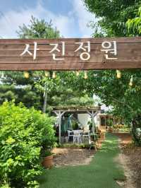 유럽수국이 피는 원주 사진정원