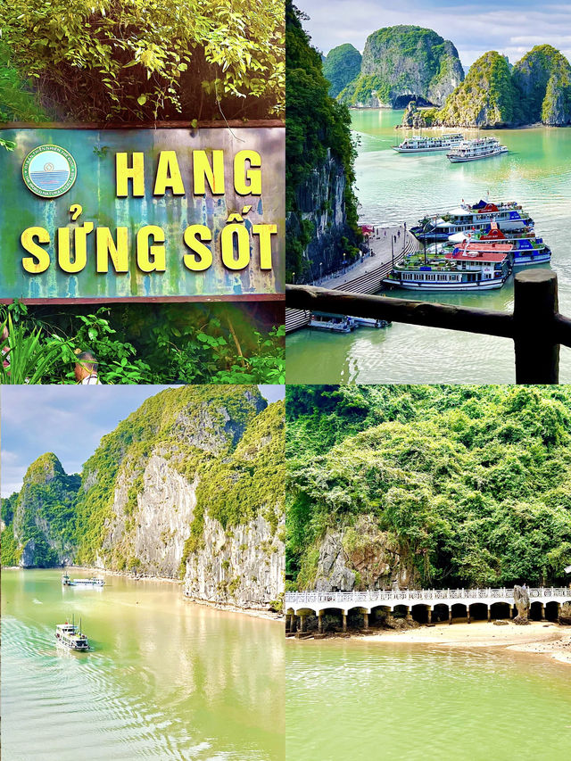Visit Surprise Cave In Halong Bay Vietnam🇻🇳✨