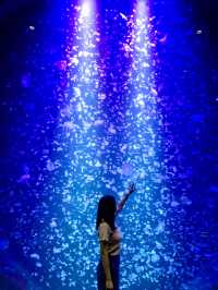 【日本東北】加茂水族館：世一水母水族館，深藍色水槽前夢幻打卡