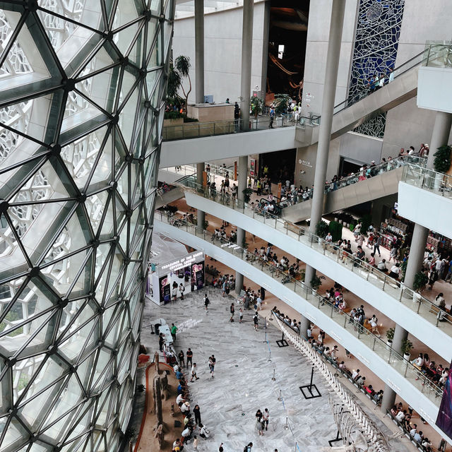 เดินเล่นกันที่ Shanghai Natural History Museum
