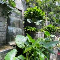 Tropical Oasis at Changi