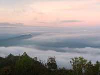 ดอยผาแง่ม