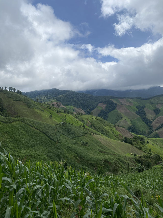 ฤดูฝนที่ดอยภูคา | จ.น่าน ⛰️🌳🌿🌧️