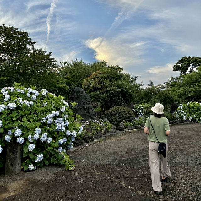 제주여행🏝️ 동화 속 작은 마을, 동쪽 송당 동화마을🩵