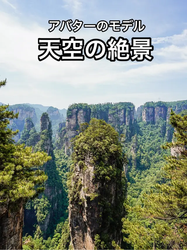 📍张家界国家森林公园