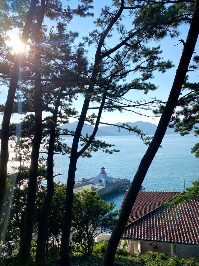 이국적인 분위기 가득🌳 거제도 대표 여행지 📍외도 보타니아