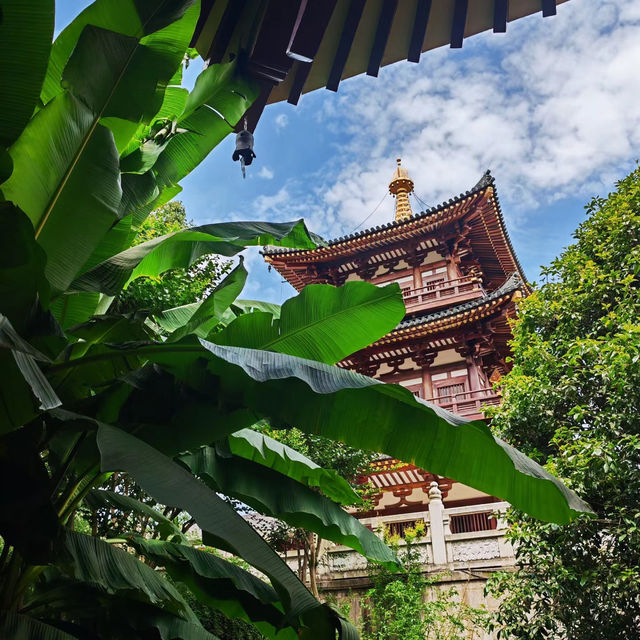 佛甲寺～感受自然禪意的好地方！
