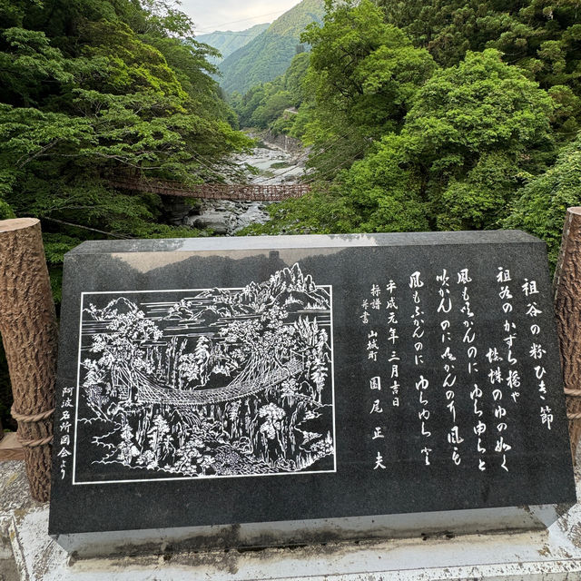 日本三大奇橋之《祖谷蔓橋》