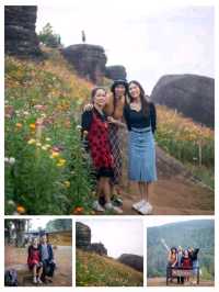 One Day Trip : บ้านร่องกล้า-ภูหินร่องกล้า
