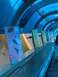 Review 🐠 อควาเรียมที่ตั้งอยู่ภายใน Ocean Park