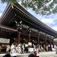 Discover Serenity at Meiji Jingu Shrine! 🌿⛩️