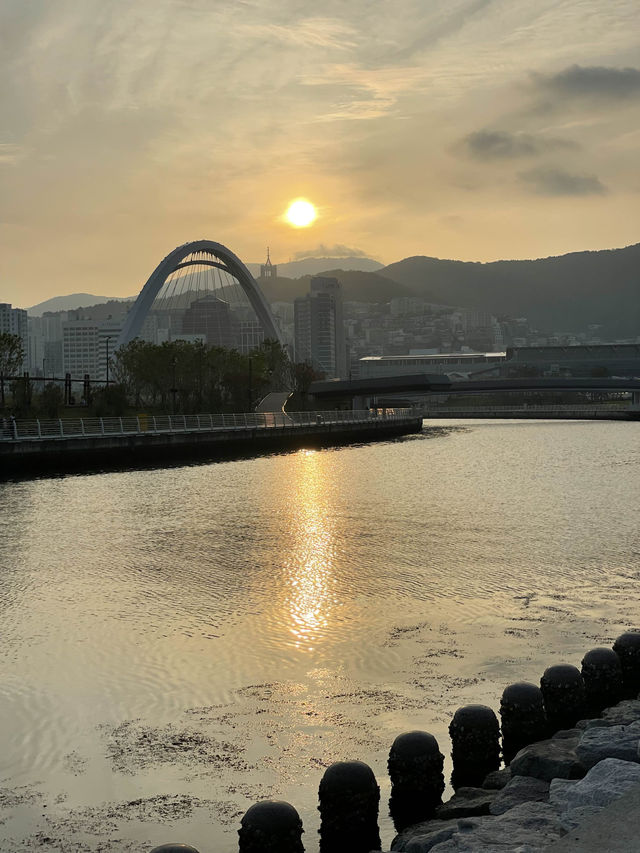 부산 신상공원 산책가기 부산역이서 연결된 친수공원🌁🌉