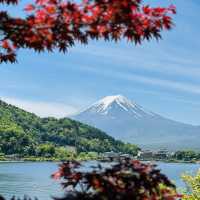 Fuji on May 
