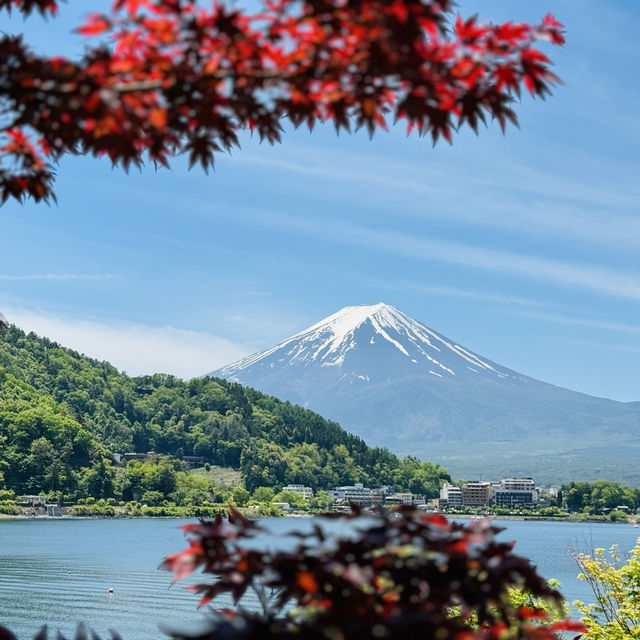 Fuji on May 