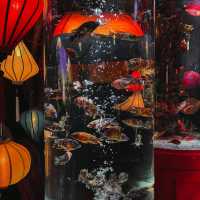 ไปเที่ยว UWS AQUARIUM GA☆KYO ที่ญี่ปุ่นกัน