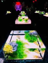 【東京都:銀座】好立地！アートアクアリウム美術館GINZA