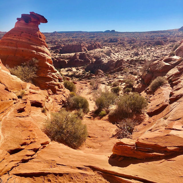 Walk through a masterpiece of nature’s artistry – explore the mesmerizing swirls of The Wave