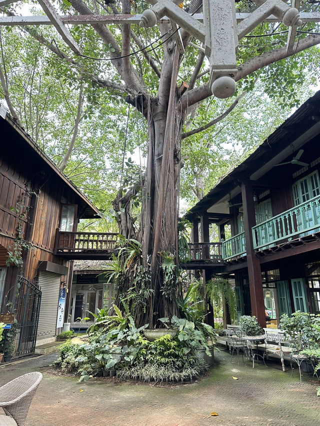 📍ดาราเทวี คาเฟ่ โรงแรมในตำนานของชาวเชียงใหม่