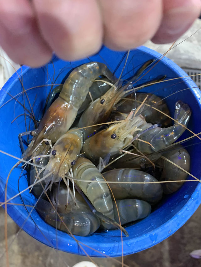 Kodtalay seafood buffet 活抓蝦蟹吃到🤮!!!