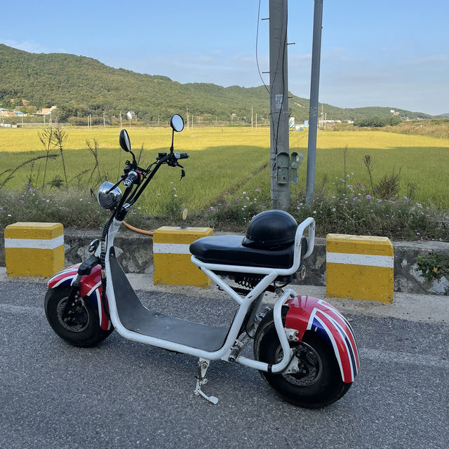 스쿠터타고 섬 한바퀴🛵 가을맞이 신시모도 야외데이트