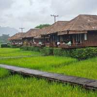 ที่พักสวย วิวหลักล้าน ที่เหมาะกับหน้าฝนสุดๆ