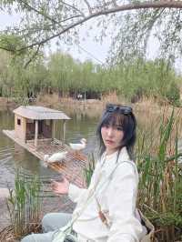 集當代書法大全藝術風采：中國翰園