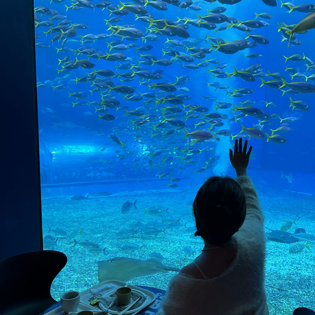沖繩美麗海水族館必影打卡位