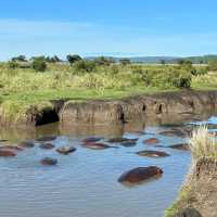 Experience the Great Migration Across Serengeti’s Majestic Grasslands