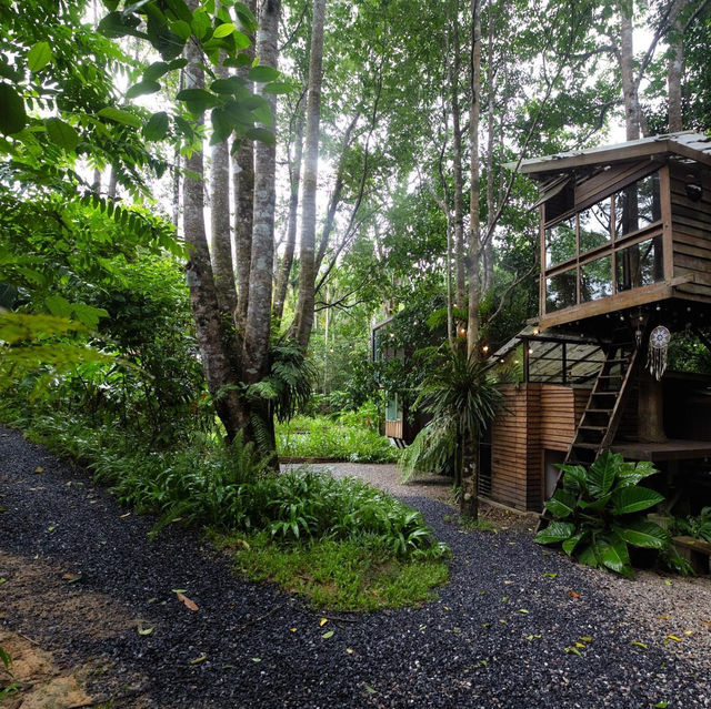 บ้านในหมง treehouse 