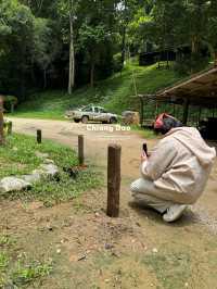 แหล่งผีเสื้อ | อ.เชียงดาว 🏡🌿🌧️🦋