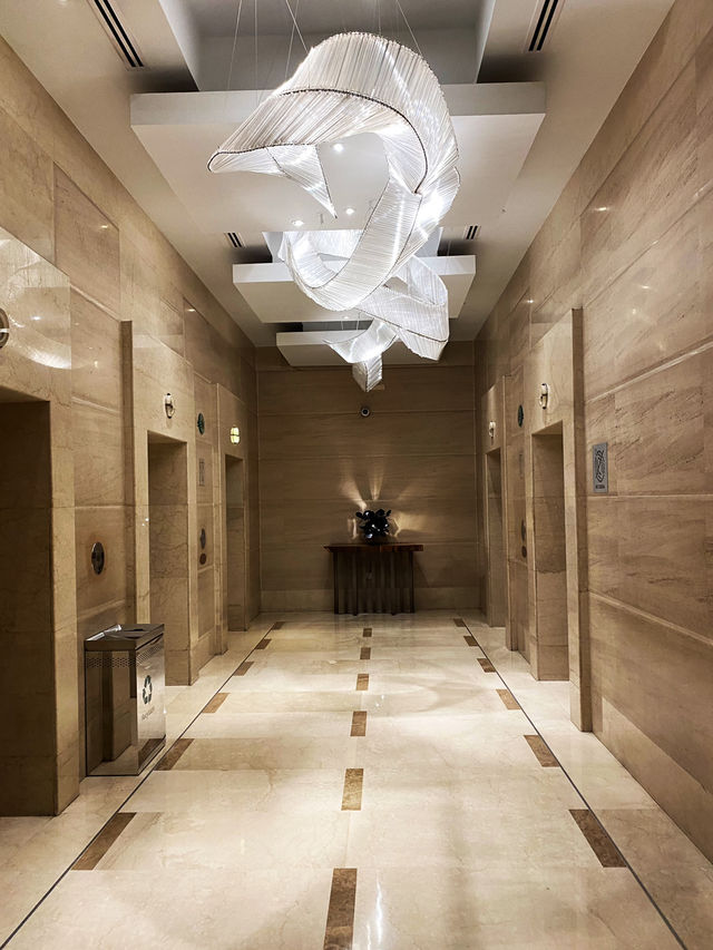 Pull the man to the hotel 🦩🦩