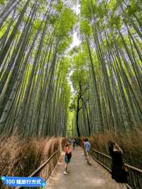 日本京都-參天竹林密境的嵐山之美