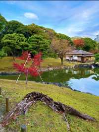 〜東京都〜オフィス街のど真ん中にある異世界公園！