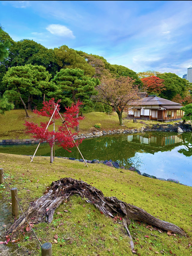 〜東京都〜オフィス街のど真ん中にある異世界公園！