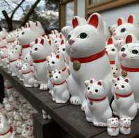 🐱⛩️🍀 Discovering Maneki-neko Magic at Gōtoku-ji Temple in Tokyo! 🌸🏯✨