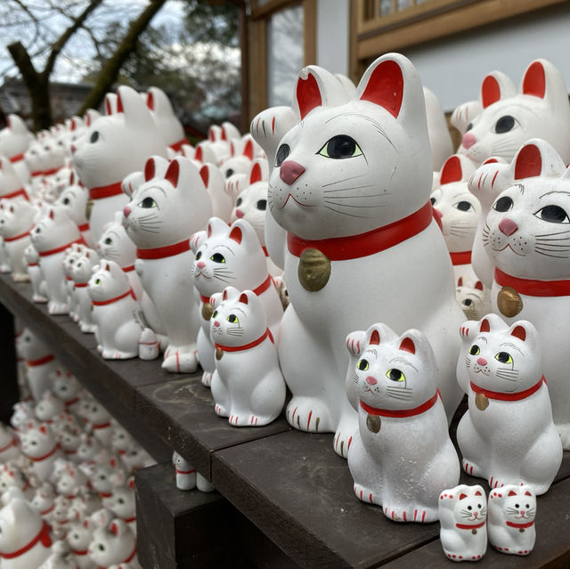 🐱⛩️🍀 Discovering Maneki-neko Magic at Gōtoku-ji Temple in Tokyo! 🌸🏯✨