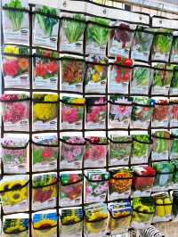 A Day at AGRO Nursery, Adda Heights
