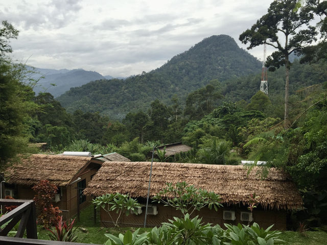 Thrilling Adventure in Gopeng: White Water Rafting and Rainforest Retreat