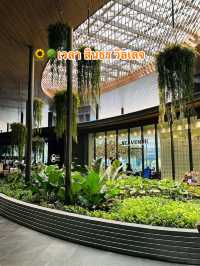 🌻🌳เวลา สินธร วิลเลจ