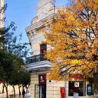 Harbin in Autumn 🍂 