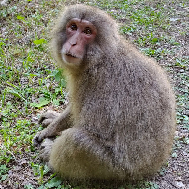 多摩動物公園～親子遊好地方