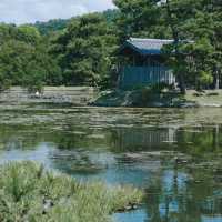 氤氳綠意～感應院