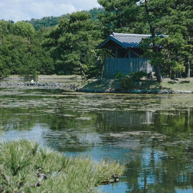 氤氳綠意～感應院