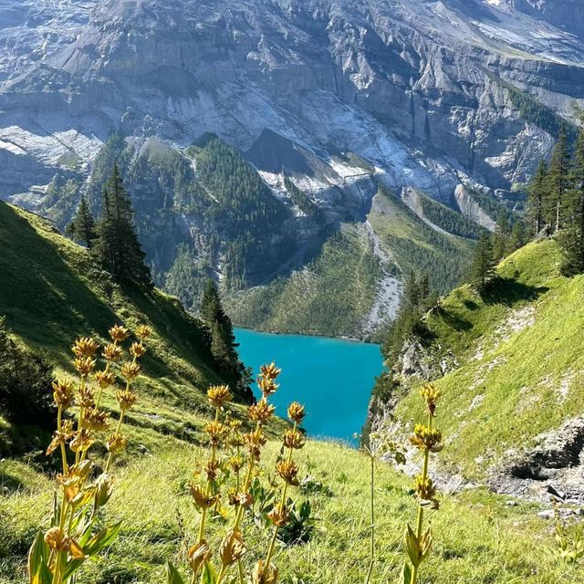 Bringing My Girl to Switzerland